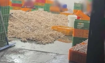 Nhà máy Trung Quốc tẩy trắng chân gà bằng oxy già
