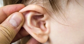 Nhà nuôi nhiều thú cưng, bé gái bị bọ chét chui vào tai ký sinh