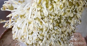 Nhắc nhở: Có 4 loại rau tuyệt đối không được ăn, bán rẻ mấy cũng đừng mang về nhà