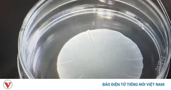 Nhật Bản đón bước chuyển từ “y học trị liệu” sang “y học tái tạo”