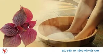 Nhiều người mách dùng lá tía tô chữa gout: Có nên áp dụng?