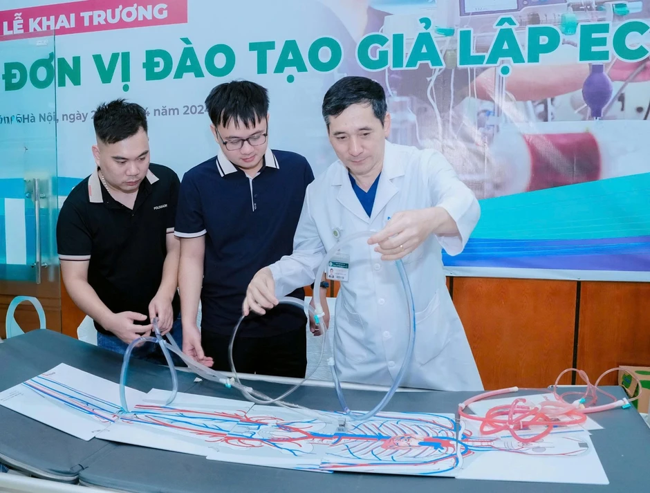 Nhiều người trẻ 20-30 tuổi viêm cơ tim sau triệu chứng giống cảm cúm Nhiều người trẻ 20-30 tuổi viêm cơ tim sau triệu chứng giống cảm cúm