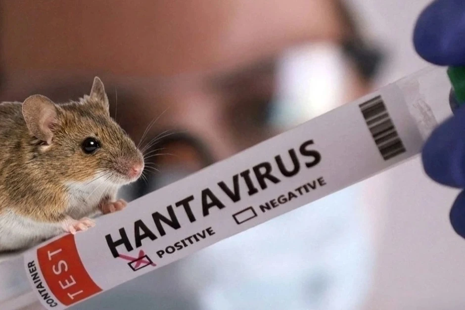 Nhiều nước ghi nhận ca nhiễm virus Hanta liên quan tàu MV Hondius Nhiều nước ghi nhận ca nhiễm virus Hanta liên quan tàu MV Hondius