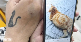 Nhiều phụ nữ ở TPHCM lâm nạn bất ngờ vì thói quen ôm nựng thú cưng