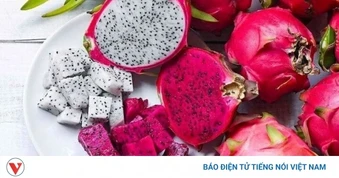 Những bài thuốc hay từ quả thanh long, tốt cho sức khỏe không phải ai cũng biết