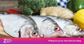 Những loại cá giàu protein và omega-3, dễ mua ngoài chợ Việt