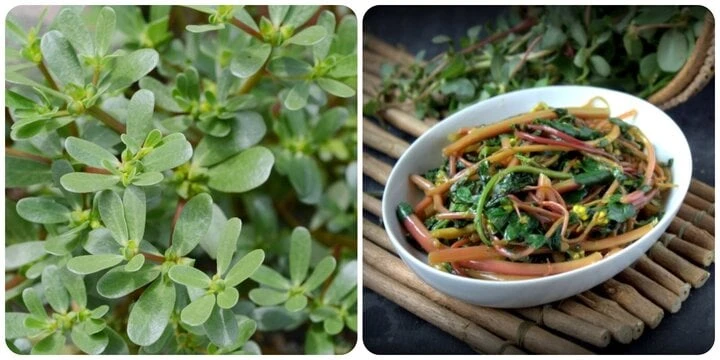 Những loại rau chứa canxi "siêu khủng", giúp xương chắc khỏe: Loại nào cũng "quen mặt", có nhiều ở chợ Việt Những loại rau chứa canxi "siêu khủng", giúp xương chắc khỏe: Loại nào cũng "quen mặt", có nhiều ở chợ Việt