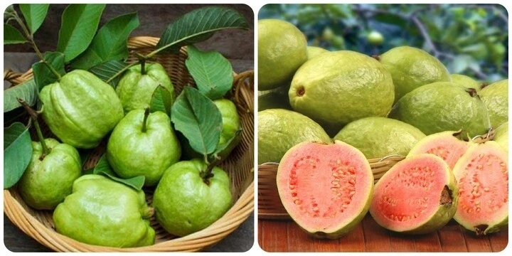 Những người không nên ăn ổi Những người không nên ăn ổi