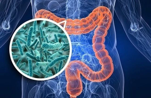 Những thói quen đang "nuôi dưỡng" ung thư đại trực tràng: Đừng xem nhẹ 4 tín hiệu cảnh báo từ cơ thể! Những thói quen đang "nuôi dưỡng" ung thư đại trực tràng: Đừng xem nhẹ 4 tín hiệu cảnh báo từ cơ thể!