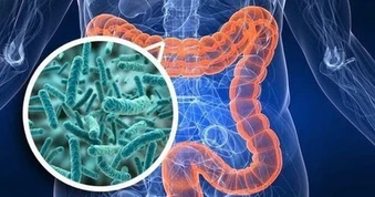 Những thói quen đang "nuôi dưỡng" ung thư đại trực tràng: Đừng xem nhẹ 4 tín hiệu cảnh báo từ cơ thể!