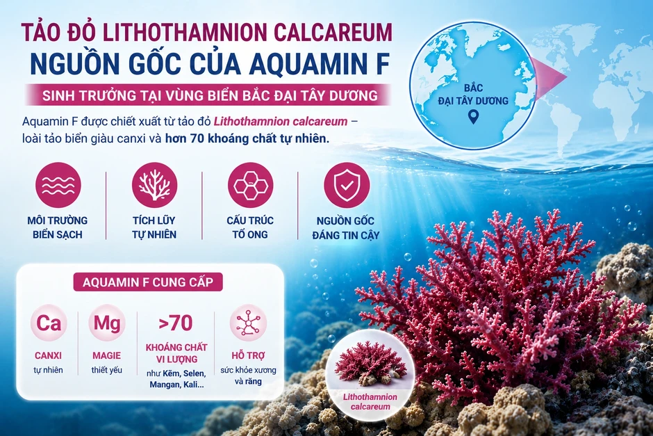 Những yếu tố giúp canxi tảo biển đỏ được nhiều phụ huynh lựa chọn Những yếu tố giúp canxi tảo biển đỏ được nhiều phụ huynh lựa chọn