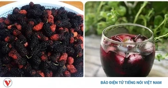 Nước dâu tằm tốt cho phụ nữ ra sao? Không phải ai cũng biết điều này