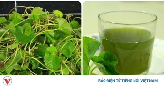 Nước rau má được yêu thích trong mùa hè, những người không nên uống