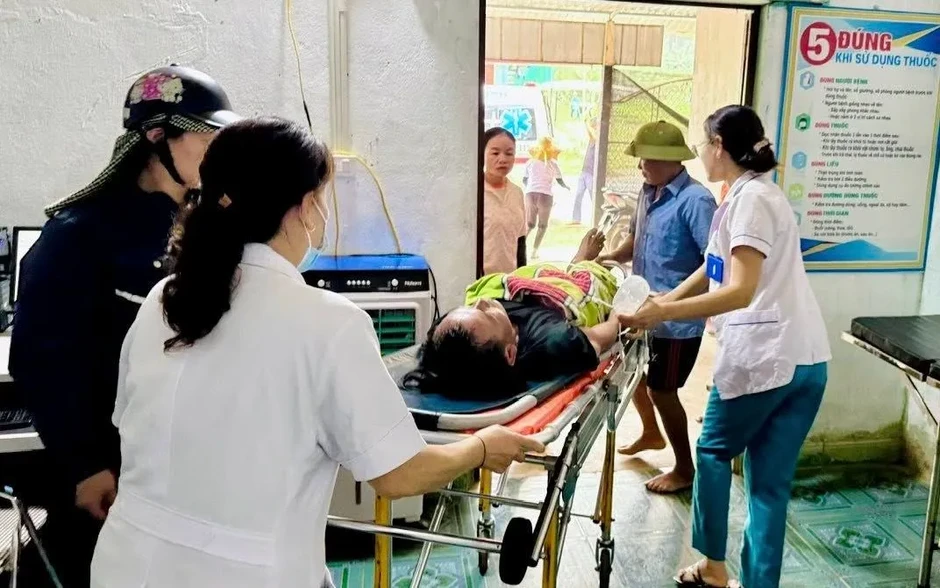 Ong rừng đốt - nguy cơ sốc phản vệ trong vài phút Ong rừng đốt - nguy cơ sốc phản vệ trong vài phút