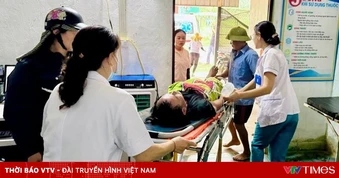 Ong rừng đốt - nguy cơ sốc phản vệ trong vài phút