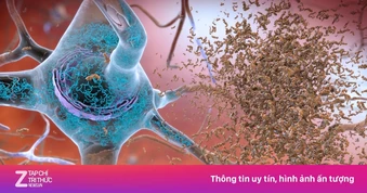 Phát hiện cơ chế lật ngược quá trình lão hóa của tế bào