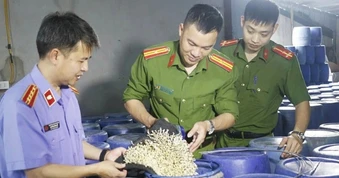 Phát hiện gần 6.000 cơ sở vi phạm an toàn thực phẩm trong 6 tháng