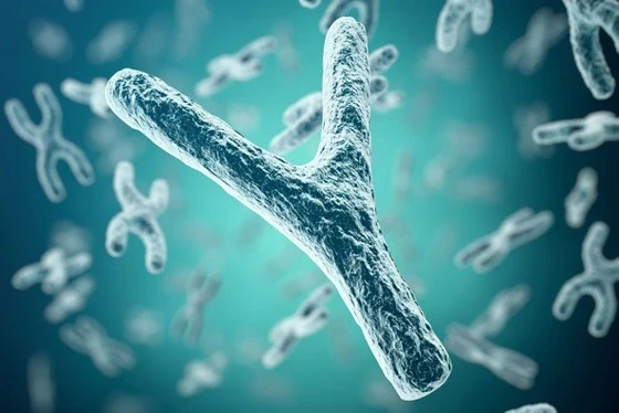 Phát hiện mới về sự biến đổi trong bộ gen của nam giới khi lão hóa Phát hiện mới về sự biến đổi trong bộ gen của nam giới khi lão hóa
