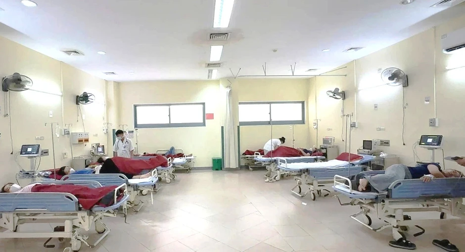 Phát hiện vi khuẩn E. coli và Bacillus cereus trong món ăn khiến 222 người ngộ độc ở Huế Phát hiện vi khuẩn E. coli và Bacillus cereus trong món ăn khiến 222 người ngộ độc ở Huế
