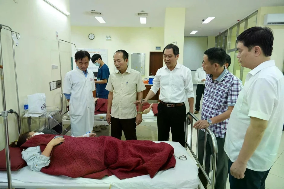Phát hiện vi khuẩn E. coli và Bacillus cereus trong món ăn khiến 222 người ngộ độc ở Huế Phát hiện vi khuẩn E. coli và Bacillus cereus trong món ăn khiến 222 người ngộ độc ở Huế