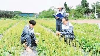 Phát huy giá trị y dược cổ truyền