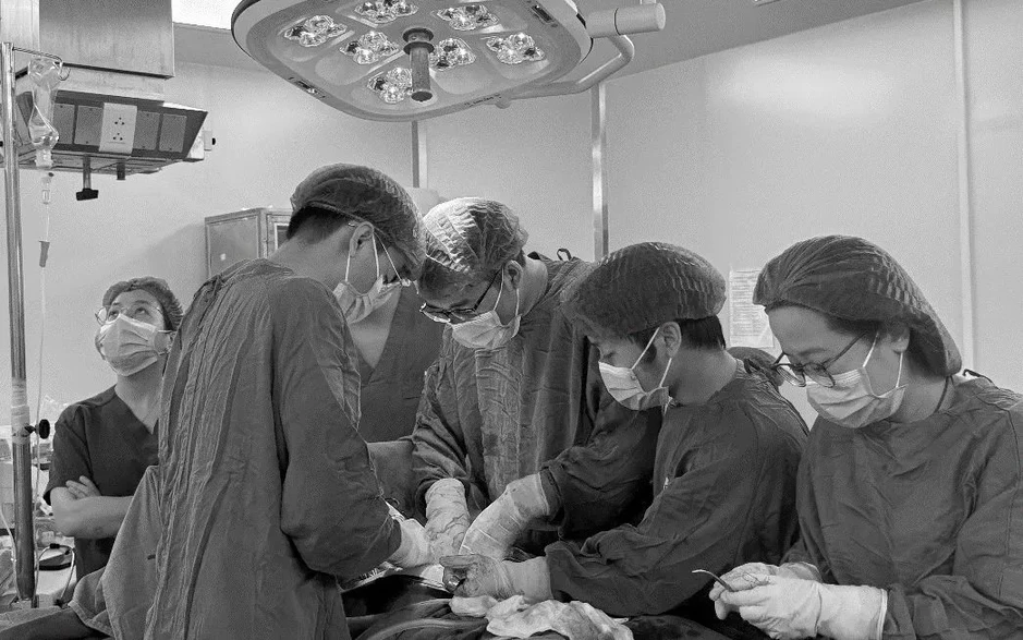 Phẫu thuật thành công khối u sarcoma tử cung nặng gần 9kg Phẫu thuật thành công khối u sarcoma tử cung nặng gần 9kg