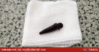 Phòng tránh đỉa suối xâm nhập vào mùa hè