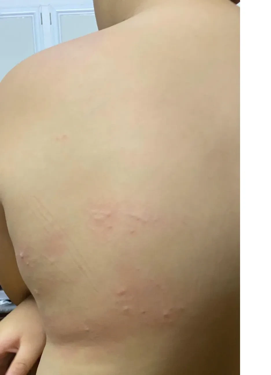 Phụ huynh phản ánh bữa ăn bán trú kém chất lượng tại Trường THCS Hồ Văn Long Phụ huynh phản ánh bữa ăn bán trú kém chất lượng tại Trường THCS Hồ Văn Long