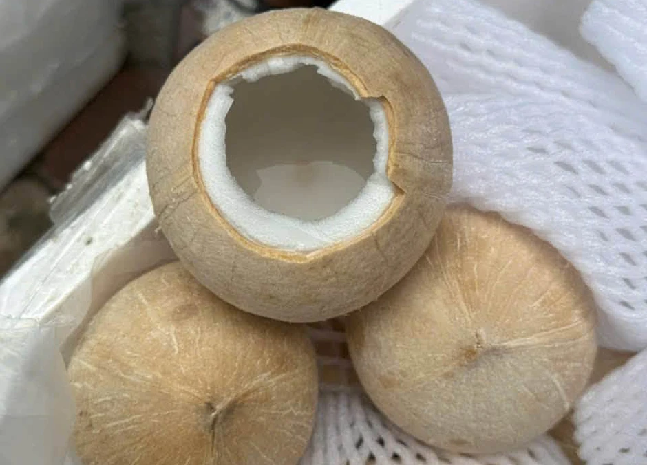Phụ nữ uống nước dừa nhiều, đừng bỏ qua điều này Phụ nữ uống nước dừa nhiều, đừng bỏ qua điều này