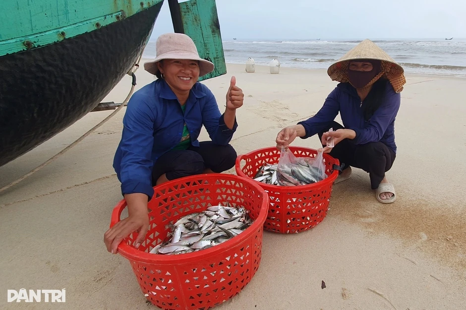 Ra chợ đừng bỏ qua 3 loại cá được ví như "cá hồi bình dân" Ra chợ đừng bỏ qua 3 loại cá được ví như "cá hồi bình dân"