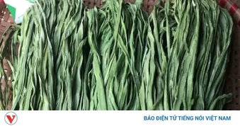 Rau tiến vua tốt thế nào? Những công dụng khiến nhiều người tìm mua