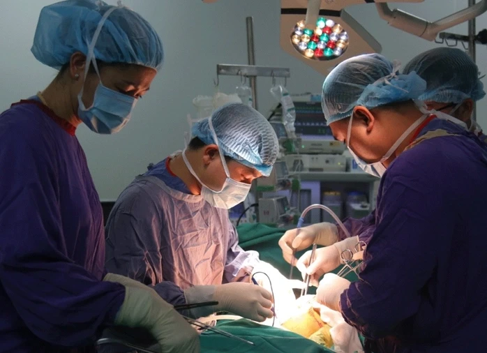 Sau thông tin giao dịch một phần gan 1,2-1,5 tỉ đồng, Bộ Y tế chấn chỉnh hoạt động hiến, ghép tạng Sau thông tin giao dịch một phần gan 1,2-1,5 tỉ đồng, Bộ Y tế chấn chỉnh hoạt động hiến, ghép tạng