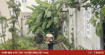 Số ca mắc sốt xuất huyết tại TP Hồ Chí Minh tăng gần 45%