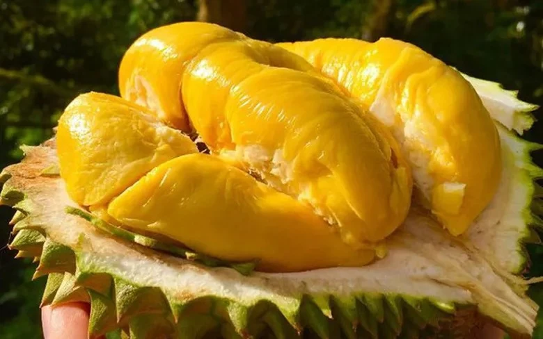 Số ca tiểu đường gia tăng, bác sĩ cảnh báo: Trời lạnh thà ăn cơm còn hơn đụng tới 4 món này