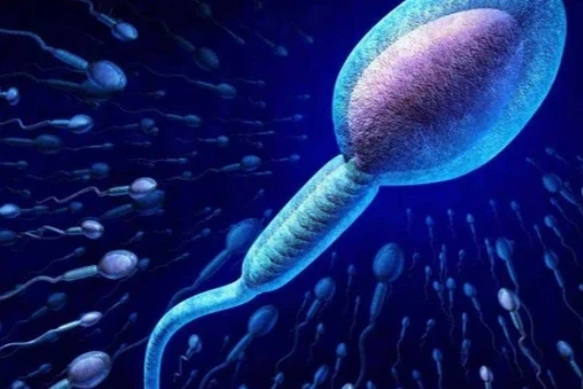 Sự thật phía sau cuộc đua tinh trùng khác xa nhiều người nghĩ Sự thật phía sau cuộc đua tinh trùng khác xa nhiều người nghĩ