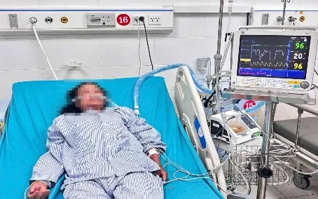 Suy đa tạng nguy kịch do sốt mò Suy đa tạng nguy kịch do sốt mò