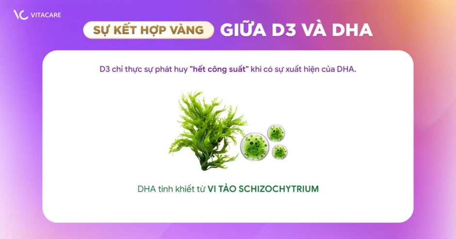 Tại sao TPBVSK Vitatree D3 K2 MK7 Plus DHA được hàng triệu mẹ bỉm tin chọn cho hành trình khôn lớn của bé? Tại sao TPBVSK Vitatree D3 K2 MK7 Plus DHA được hàng triệu mẹ bỉm tin chọn cho hành trình khôn lớn của bé?