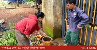 Tăng cường giám sát dịch bệnh trong mùa mưa