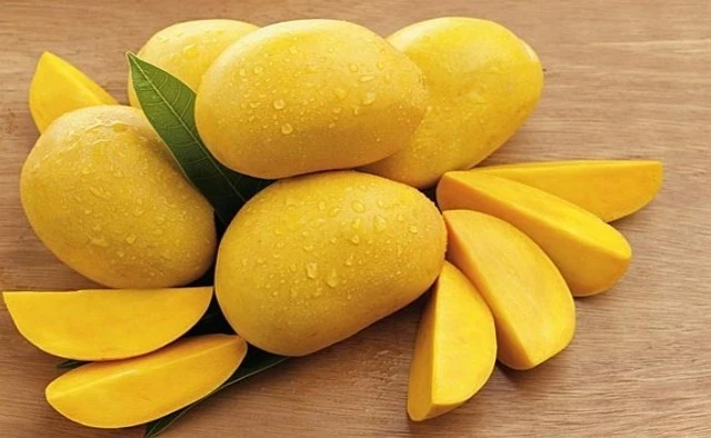 Tăng Thanh Hà, Mỹ Tâm đua nhau trồng 1 loại cây cho quả lúc lỉu: Ngon, sạch chẳng lo thuốc trừ sâu còn xóa nhăn da Tăng Thanh Hà, Mỹ Tâm đua nhau trồng 1 loại cây cho quả lúc lỉu: Ngon, sạch chẳng lo thuốc trừ sâu còn xóa nhăn da