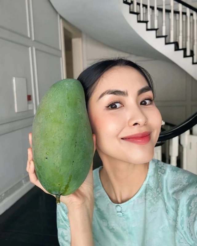 Tăng Thanh Hà, Mỹ Tâm đua nhau trồng 1 loại cây cho quả lúc lỉu: Ngon, sạch chẳng lo thuốc trừ sâu còn xóa nhăn da Tăng Thanh Hà, Mỹ Tâm đua nhau trồng 1 loại cây cho quả lúc lỉu: Ngon, sạch chẳng lo thuốc trừ sâu còn xóa nhăn da