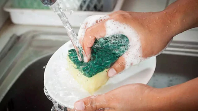 Tất cả các gia đình đang dùng miếng bọt biển rửa bát xin chú ý!