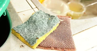 Tất cả các gia đình đang dùng miếng bọt biển rửa bát xin chú ý!