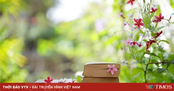 Thay đổi thói quen cho mùa hè thêm khỏe