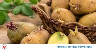 Thấy khoai tây có dấu hiệu này tuyệt đối không nên ăn kẻo “mang họa vào thân"