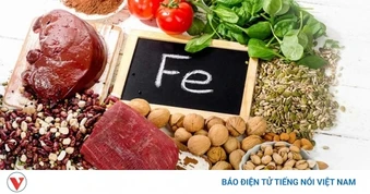 Thiếu máu nên ăn gì? Bí quyết dinh dưỡng giúp “tái tạo” sức khỏe