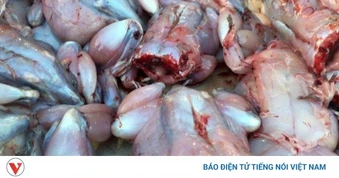 Thịt cóc có thực sự tốt như lời đồn? Cảnh báo không thể bỏ qua