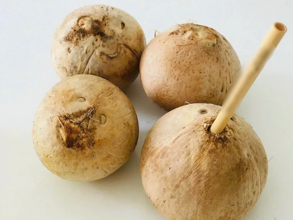 Thời tiết nóng uống nước dừa: Bao nhiêu là đủ, ai cần lưu ý? Thời tiết nóng uống nước dừa: Bao nhiêu là đủ, ai cần lưu ý?