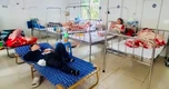 Thông tin mới vụ hơn 250 người ngộ độc do ăn bánh mì