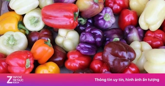 Thứ quả đa màu sắc là 'kho vitamin C' ăn vào bổ máu, mắt sáng