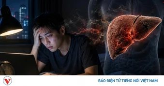 Thức khuya đang âm thầm “tàn phá” lá gan của bạn như thế nào?
